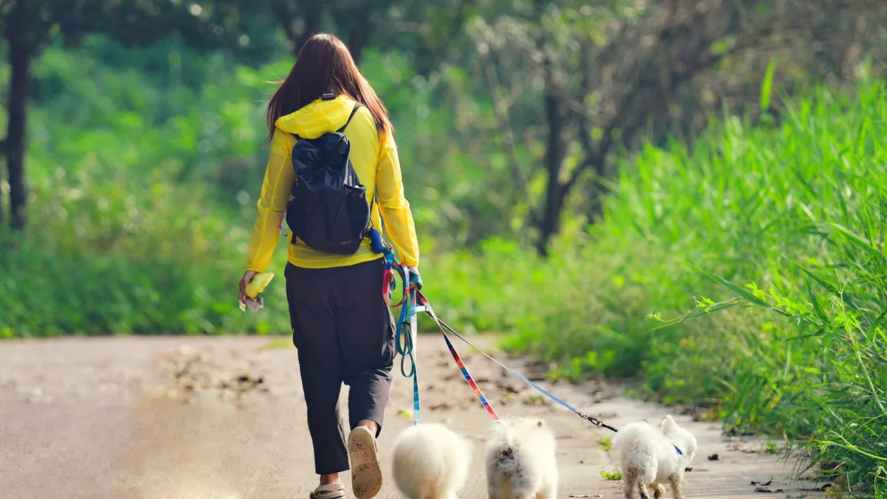 Dog Probiotic for Diarrhea & Loose Stool Tracker